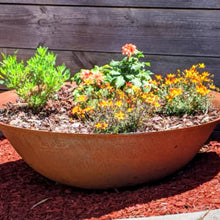 Load image into Gallery viewer, Rust-colored fire pit used as a planter with plants and flowers against a wooden fence.
